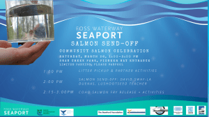 salmon send off poster